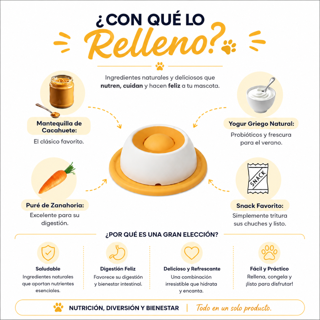 Bowl Roller que convierte su energía en bienestar